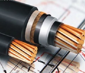 CÁP NGẦM TRUNG THẾ LS VINA 24KV (CU/XLPE/PVC/DSTA/PVC) W 3X50 SQMM