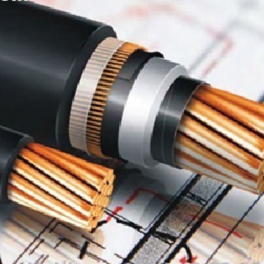 CÁP NGẦM TRUNG THẾ LS VINA 24KV (CU/XLPE/PVC/DSTA/PVC) W 3X50 SQMM